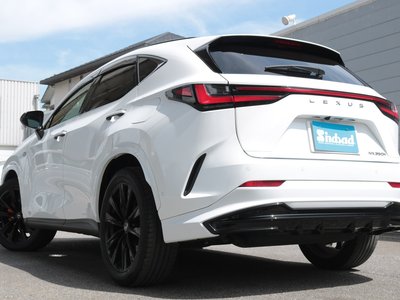 صورة مصغرة 23 لـ 2021 Lexus NX