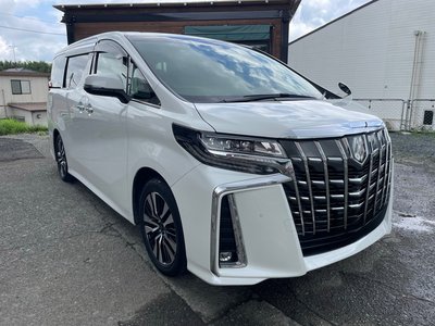 2019 Toyota ALPHARD photo 3