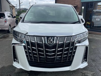 2019 Toyota ALPHARD photo 2