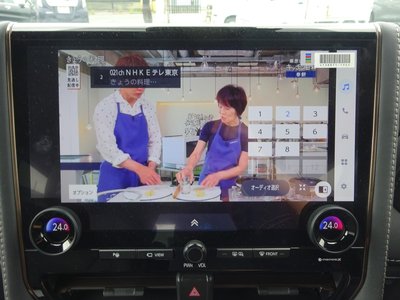 2025 Toyota ALPHARD thumbnail 23