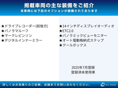 2025 Lexus GX 照片 2