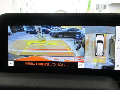 2025 Toyota LAND CRUISER 250 — фото 14