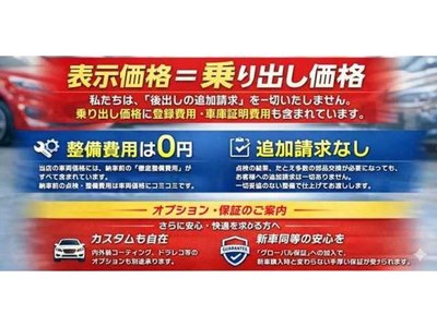 2026 Toyota LAND CRUISER 250 照片 2