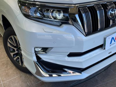 2022 Toyota LAND CRUISER PRADO 照片 13
