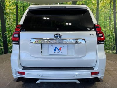 2022 Toyota LAND CRUISER PRADO 照片 16