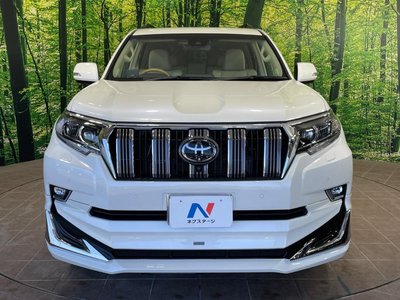 2022 Toyota LAND CRUISER PRADO 照片 15