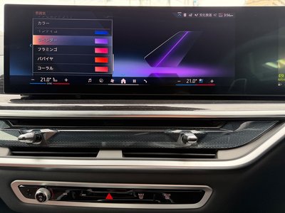 صورة مصغرة 33 لـ 2025 BMW X5
