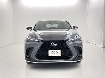 2023 Lexus NX — миниатюра 15