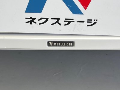 2023 Toyota LAND CRUISER 300 照片 6