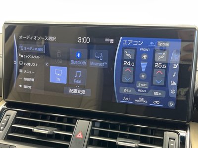 2023 Toyota LAND CRUISER 300 照片 52