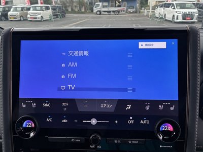 2024 Toyota ALPHARD thumbnail 28