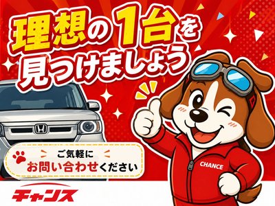 2024 Toyota ALPHARD thumbnail 62