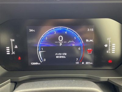 2025 Toyota LAND CRUISER 250 照片 6