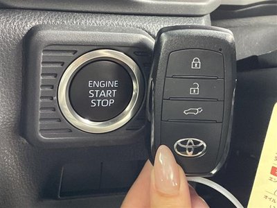 2025 Toyota LAND CRUISER 250 照片 41