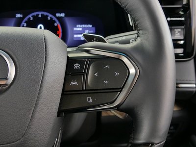 2024 Lexus LM photo 41