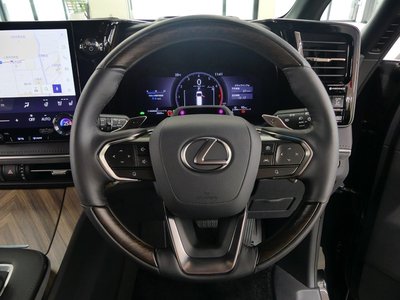 2024 Lexus LM photo 39