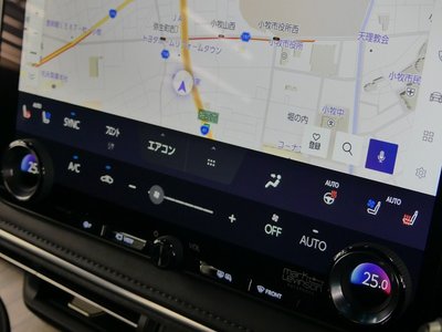 2024 Lexus LM photo 43