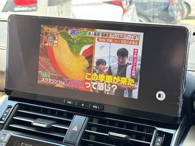 2025 Toyota LAND CRUISER 300 thumbnail 58