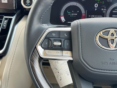 2025 Toyota LAND CRUISER 300 thumbnail 54