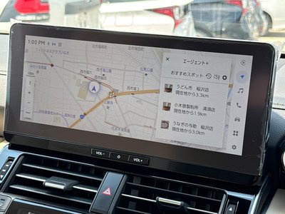 2025 Toyota LAND CRUISER 300 photo 9
