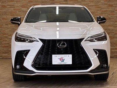 2023 Lexus NX photo 15