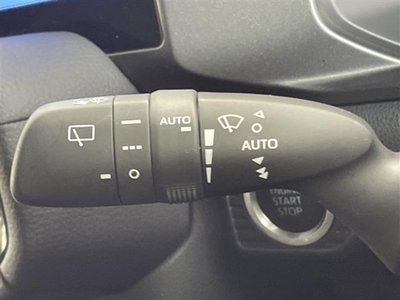 2024 Toyota LAND CRUISER 250 photo 13