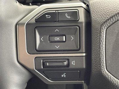 2024 Toyota LAND CRUISER 250 photo 11