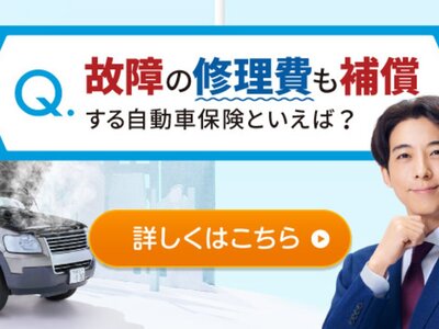2024 Toyota VELLFIRE 照片 10