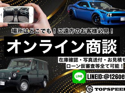 2017 Tesla MODEL X 照片 6