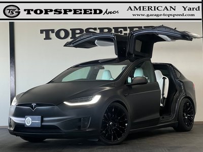 2017 Tesla MODEL X 照片 1