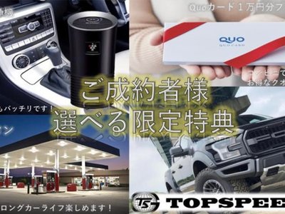 2017 Tesla MODEL X 照片 5
