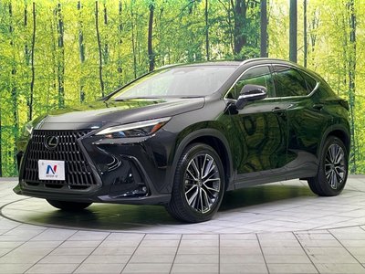 صورة مصغرة 55 لـ 2023 Lexus NX