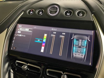 2021 Aston Martin DBX 照片 42