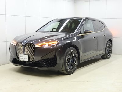 2024 BMW IX photo 6