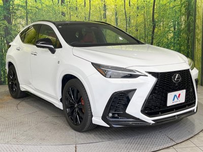صورة 16 لـ 2023 Lexus NX