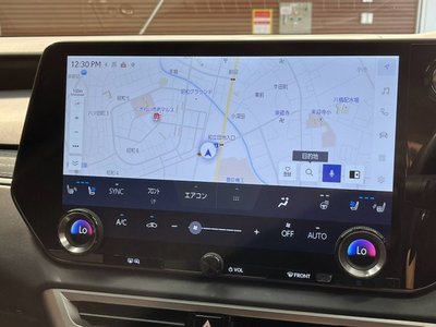صورة مصغرة 53 لـ 2023 Lexus RX