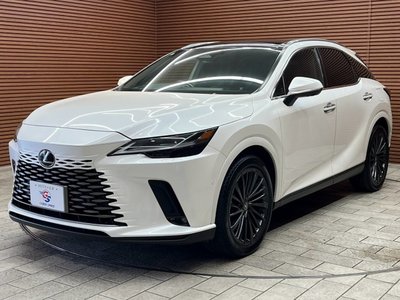صورة مصغرة 37 لـ 2023 Lexus RX