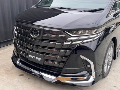 2025 Toyota ALPHARD 照片 12