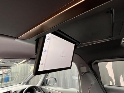 2025 Toyota ALPHARD 照片 30