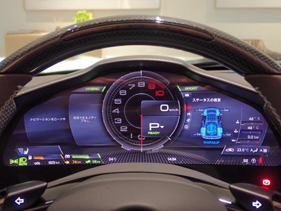 2024 Ferrari 296 GTS 照片 13