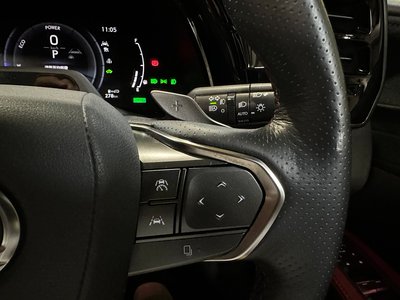 2024 Lexus RX photo 15