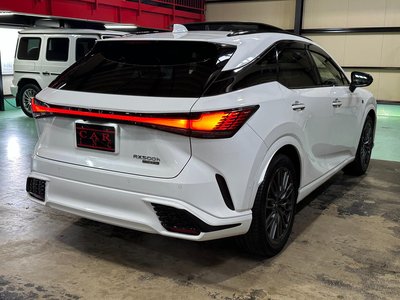 2024 Lexus RX thumbnail 28