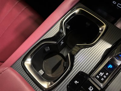 2024 Lexus RX thumbnail 63