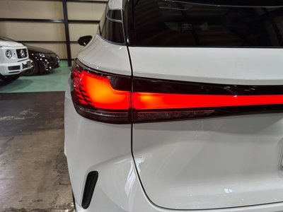 2024 Lexus RX thumbnail 37