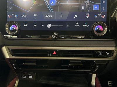 2024 Lexus RX photo 11