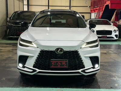 2024 Lexus RX thumbnail 23