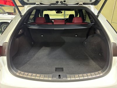 2024 Lexus RX thumbnail 69