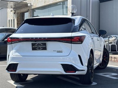 2024 Lexus RX photo 2