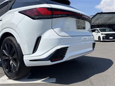 2024 Lexus RX thumbnail 42