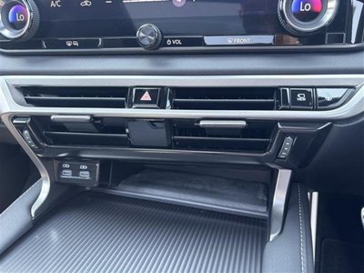 2024 Lexus RX photo 16